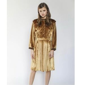 Aisabobo Gold Velvet Dress